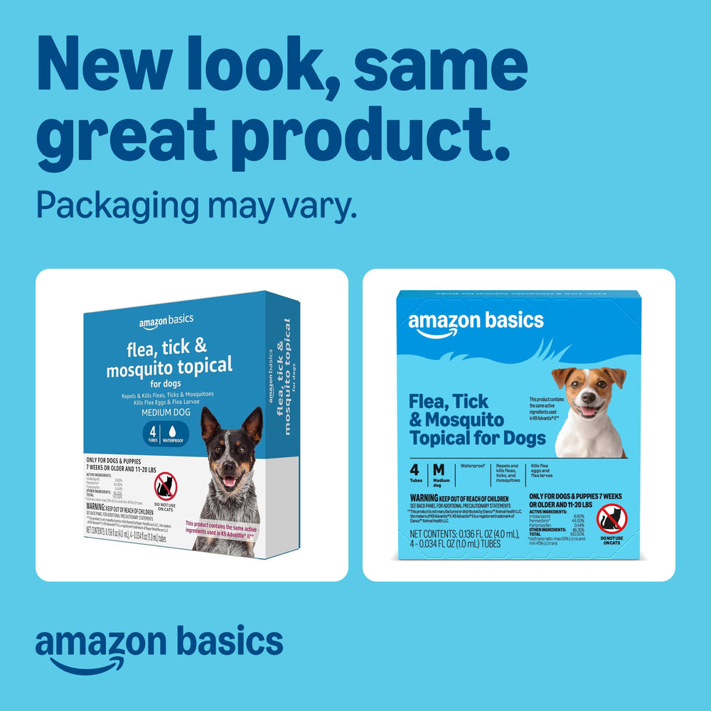 Amazon Basics application on dog neck area demonstrates easy spot-on use and quick coverage.