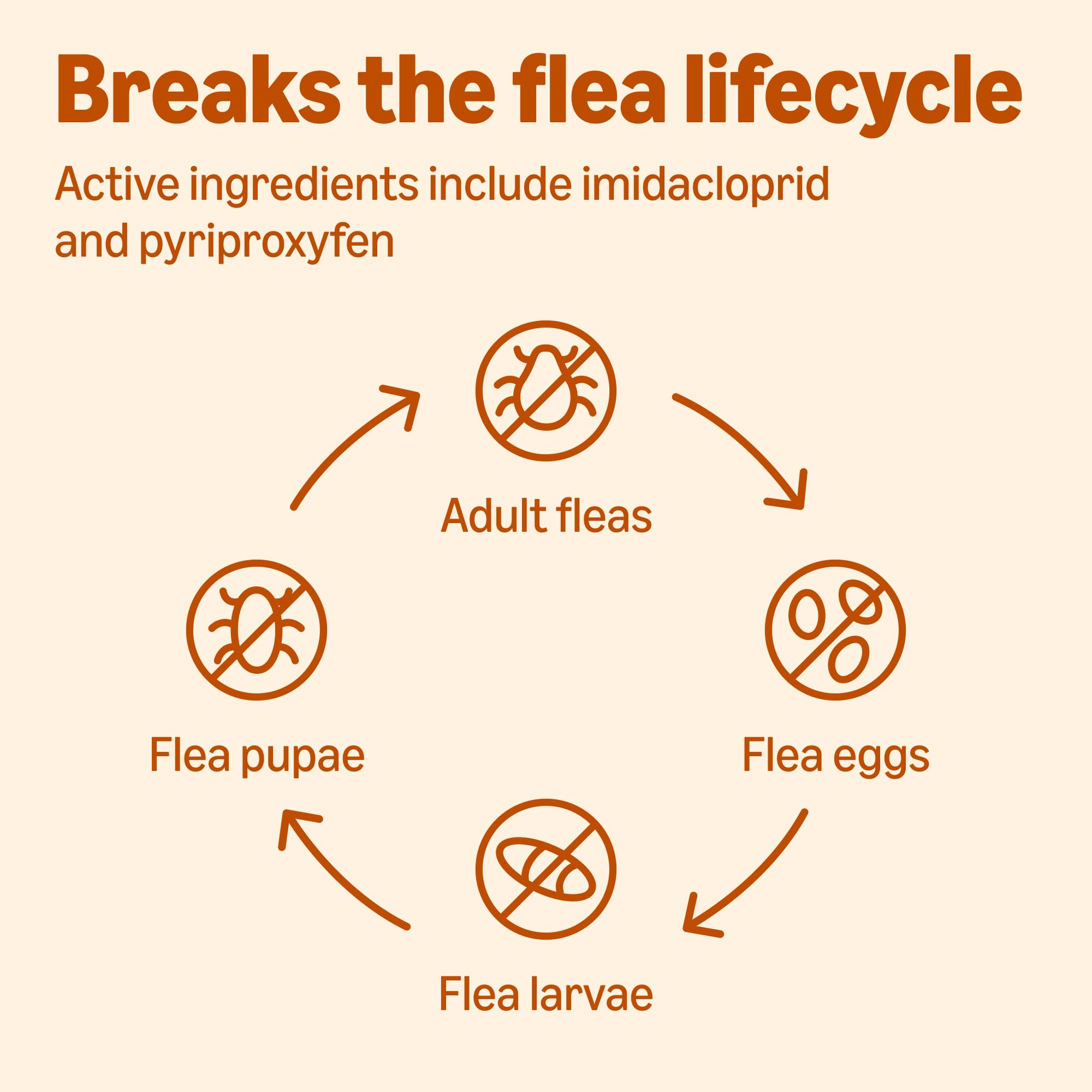 Amazon Basics flea treatment concept shown with a healthy, comfortable cat.