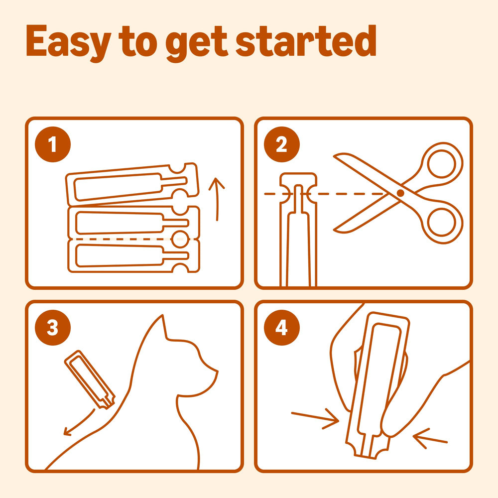Amazon Basics packaging emphasizes a four-dose pack for medium cats.