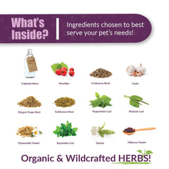 Amber NaturalZ Paxaid supports canine appetite when digestion is unsettled.