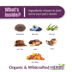 AMBER NATURALZ Reptaid herbal blend ingredients featuring natural herbs for reptile wellness