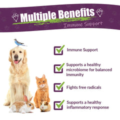 AMBER NATURALZ Vibactra immune dropper enables easy dosing for pets.