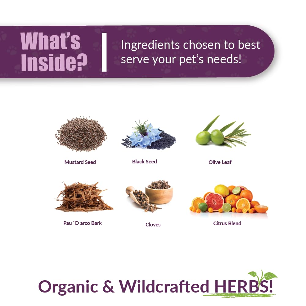 AMBER NATURALZ Vibactra ingredient blend shows organic herbs for immune support.
