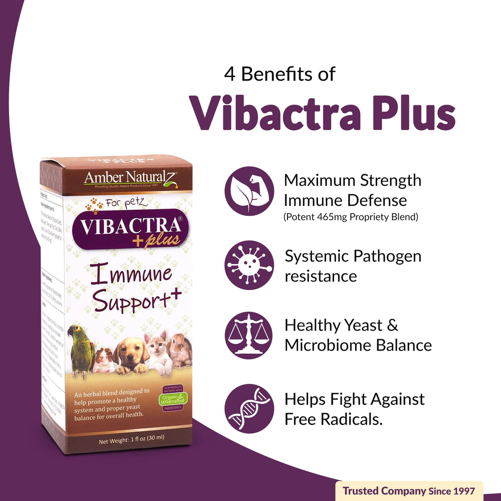 Vibactra Plus dropper shown for precise at-home dosing