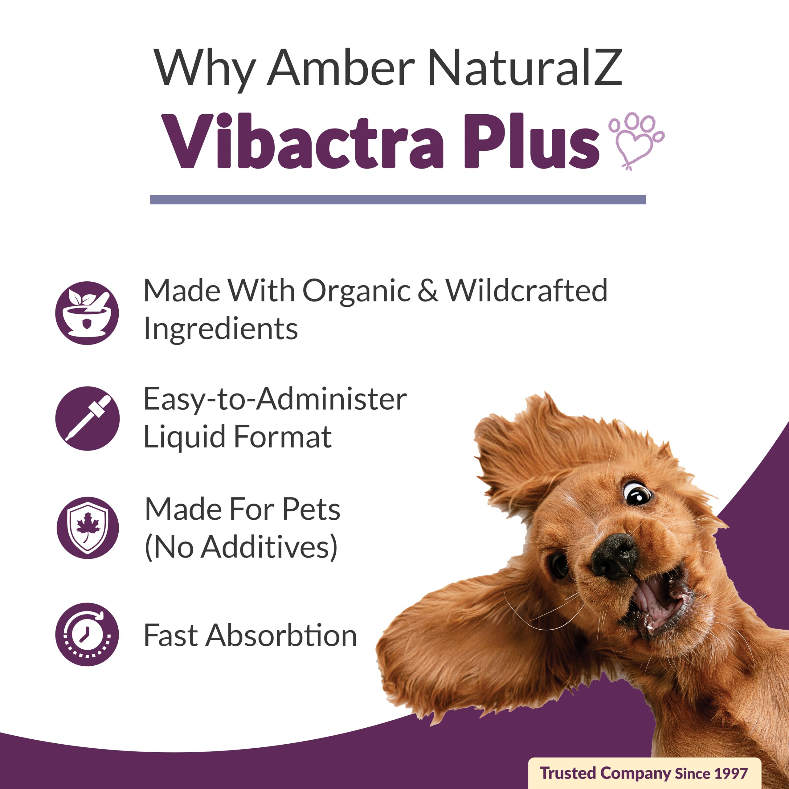 Close-up of Vibactra Plus herbal blend with organic ingredients