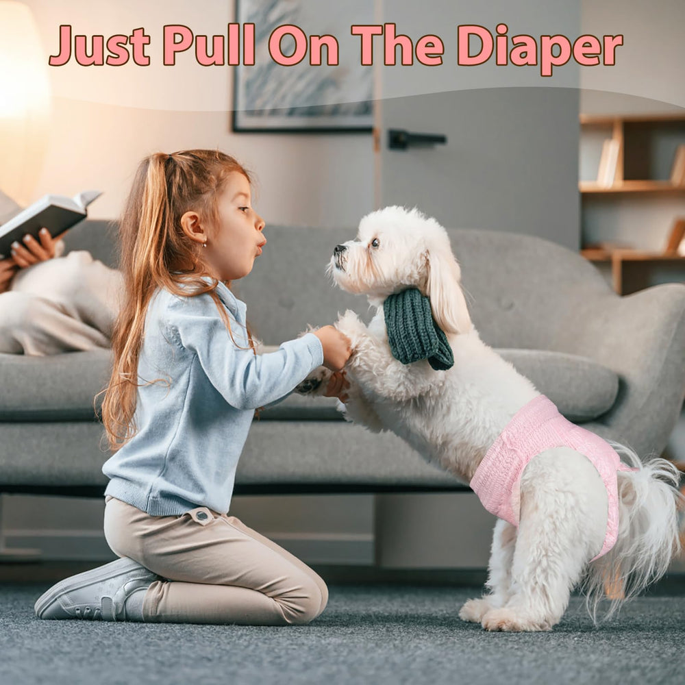 Ambreview diaper suitable for in-heat, training, and post-surgery care