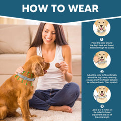 AMDEIUR flea collar unrolled and ready to fit securely on your dog.