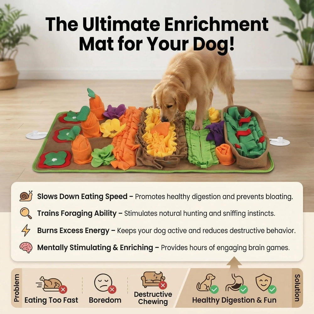 Interactive foraging play stimulates brain and relieves boredom.