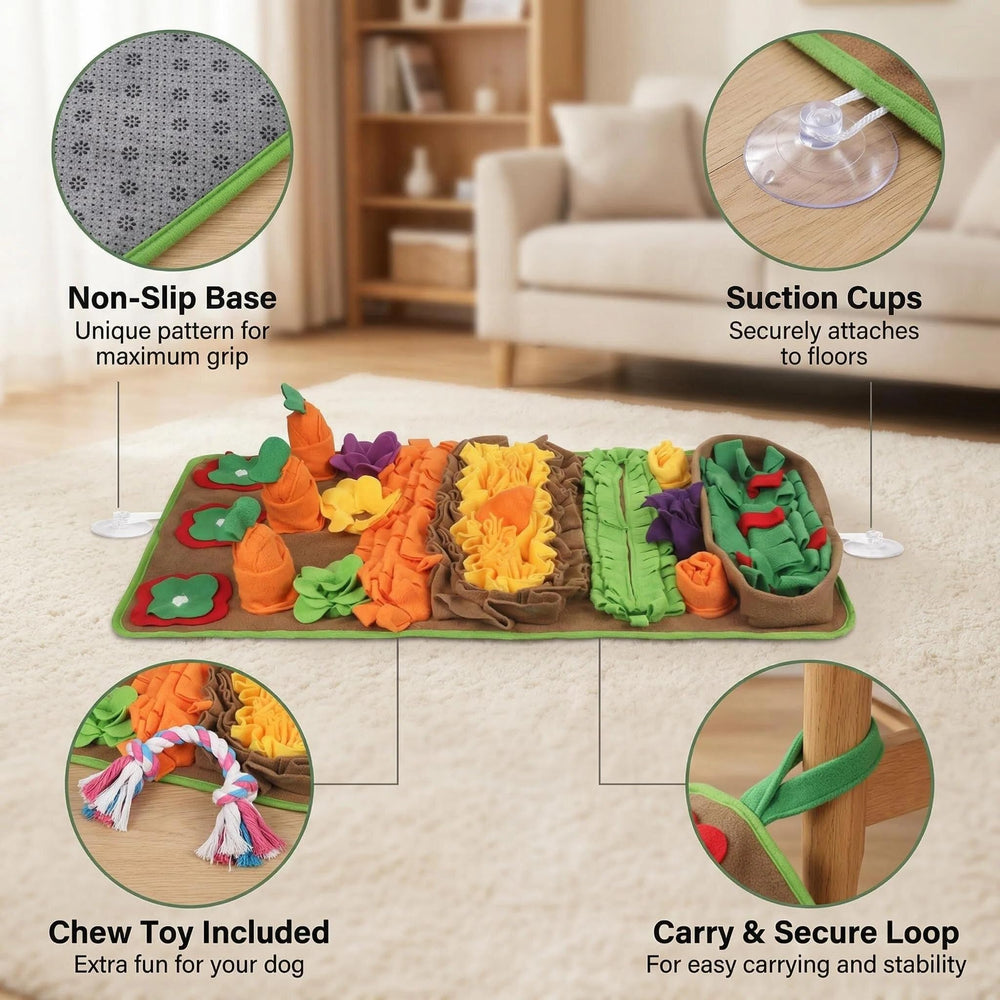 Ideal for multi-pet homes with shared enrichment.
