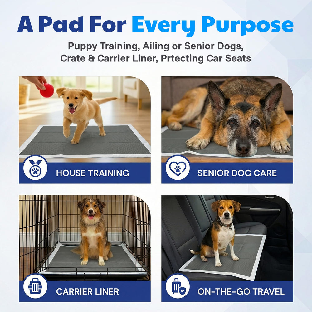 American Kennel Club hygienic design promotes easy disposal.