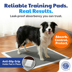American Kennel Club carbon-activated core neutralizes odors quickly.