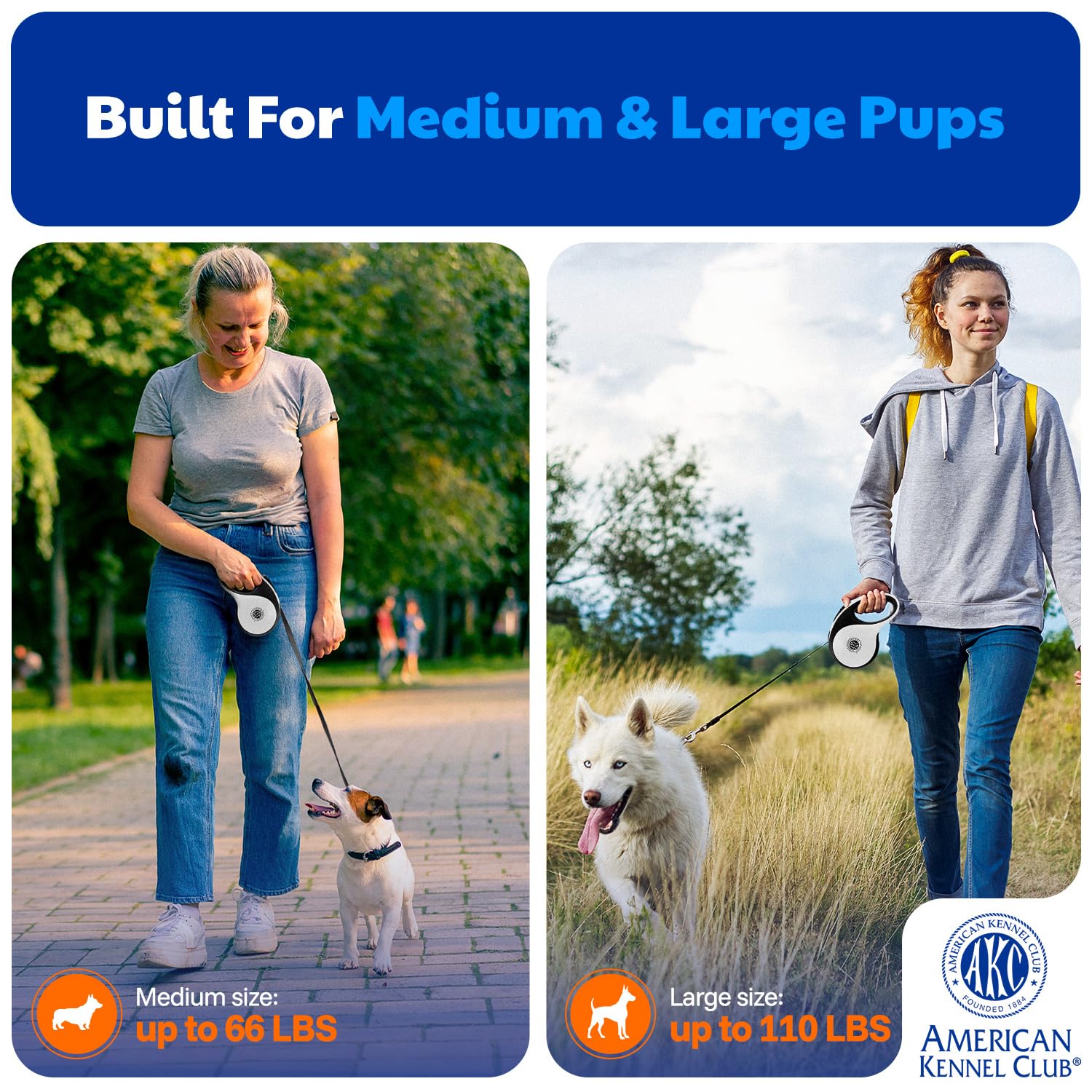 American Kennel Club daily-walk scene showing safe distance control and comfortable grip.