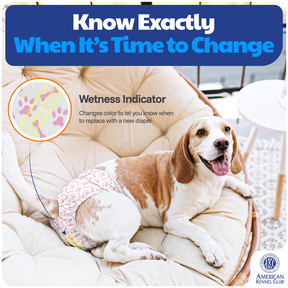 Disposable design enables easy cleanup after outdoor trips or vet visits.