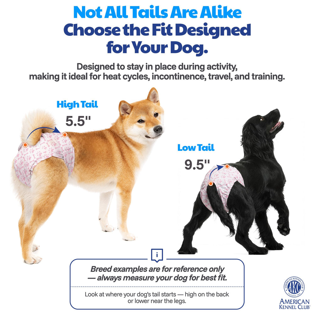 American Kennel Club edge guard helps prevent leaks onto fur or floors