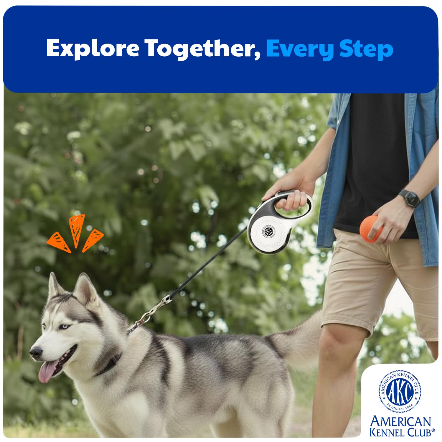 American Kennel Club leash in crowded area setup reduces tangling while keeping close by.