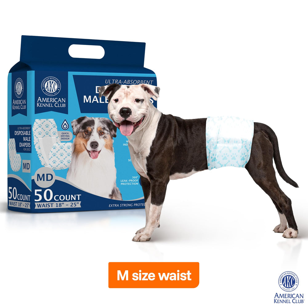 AKC male dog wrap shows quick-drying core for a dry feel.
