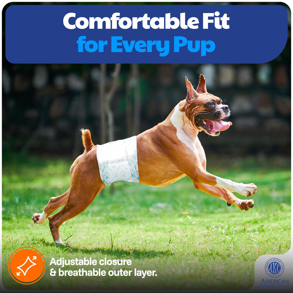 Secure fit on the dog to ensure comfortable wear during activity.