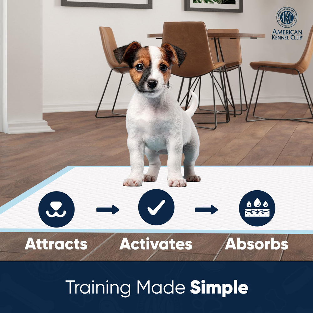 American Kennel Club odor-neutralizing core helps keep rooms smelling fresh