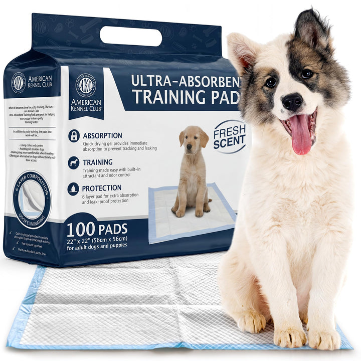 American Kennel Club scented puppy training pad front packaging demonstrates convenient 100-pack