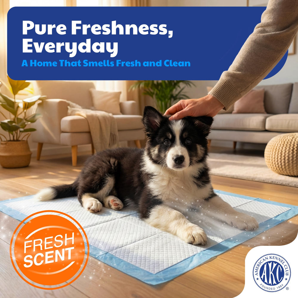 American Kennel Club scented puppy training pad quick-dry gel closeup emphasizes rapid absorption