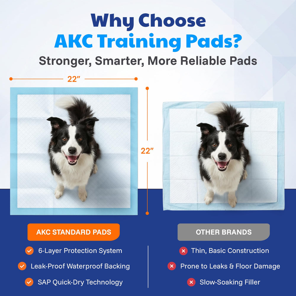 American Kennel Club scented puppy training pad six-layer construction highlights reliable protection