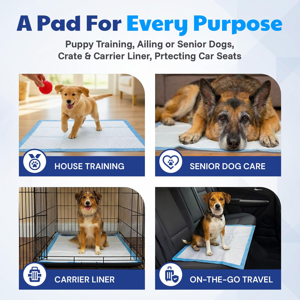American Kennel Club scented puppy training pad waterproof backing prevents leaks