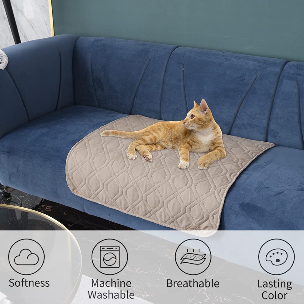 Ameritex durable protector shields couches from everyday accidents.