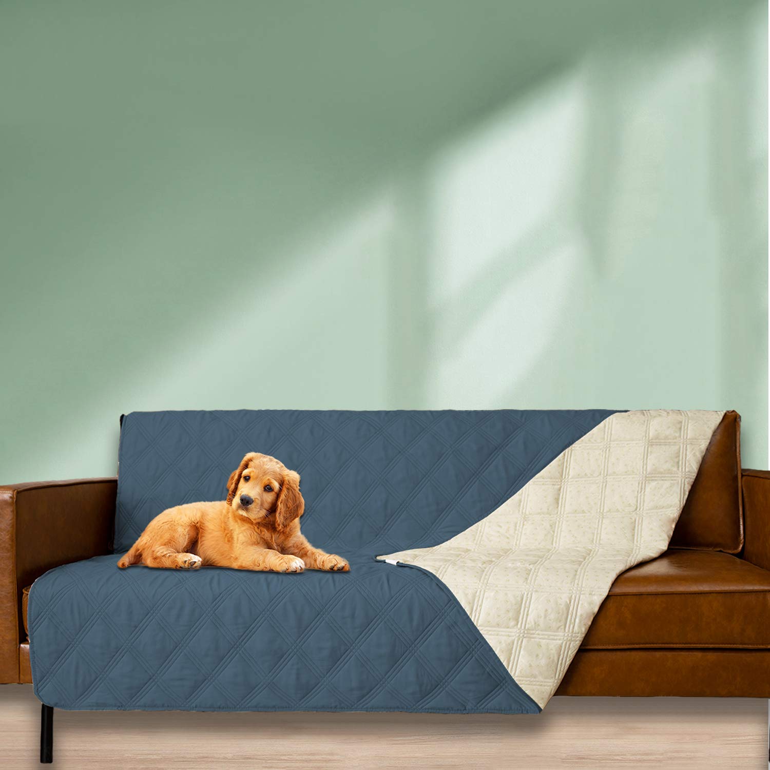 Ameritex cover positioned on bed and sofa for versatile protection.