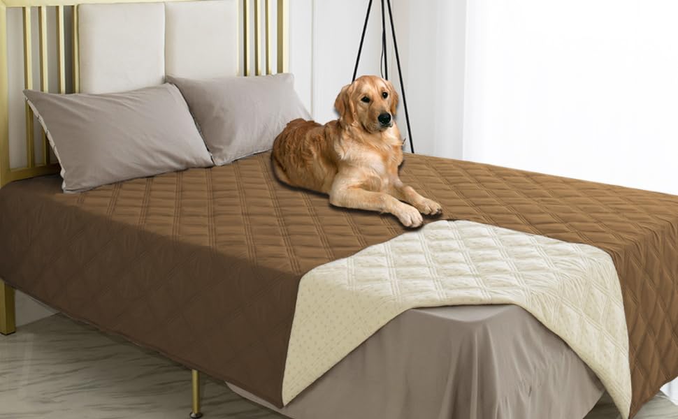 Ameritex pet-friendly bed cover keeps surfaces clean