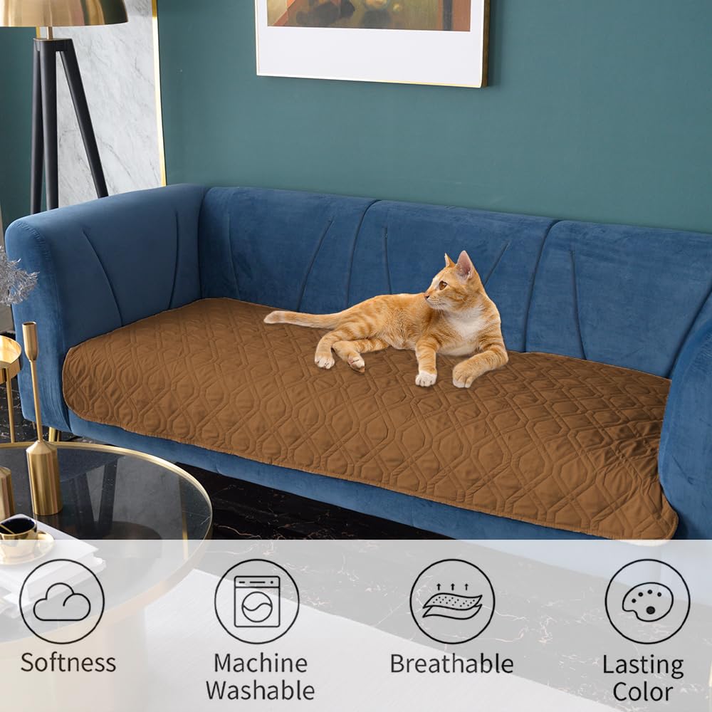 Ameritex pet-friendly protector keeps cushions safe during playful moments.