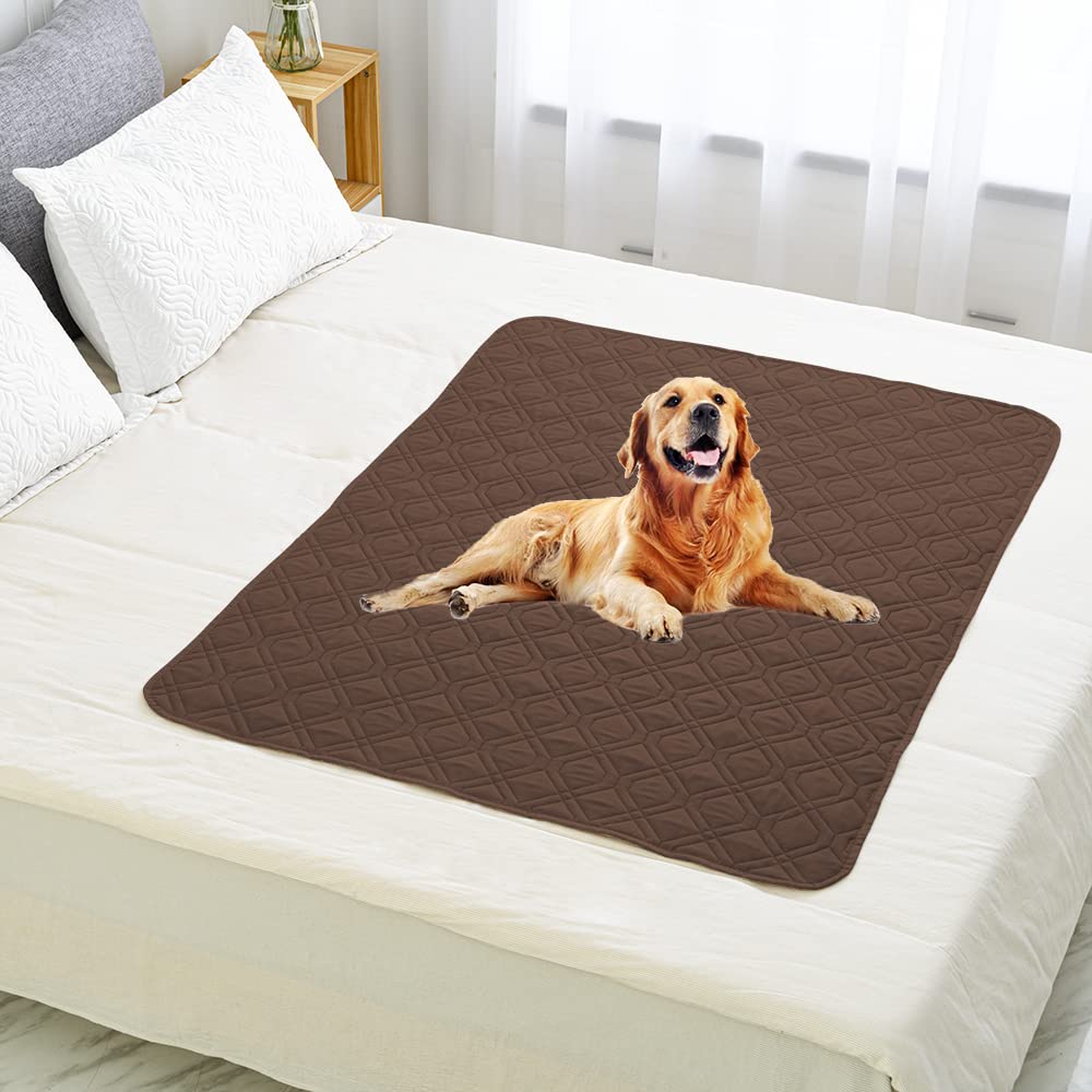 Ameritex cover on a bed in a cozy living room setup.