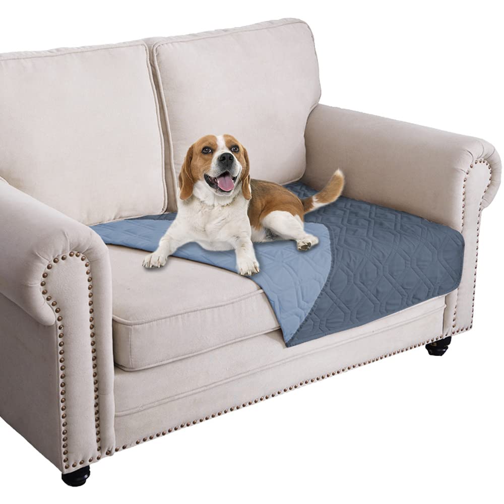 Ameritex waterproof dog bed cover on a sofa protects furniture from spills.