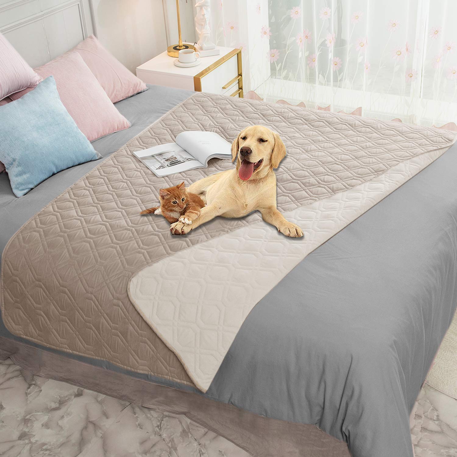 Ameritex waterproof dog bed cover on a sofa protects furniture while staying stylish.