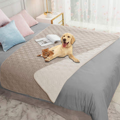Ameritex waterproof dog bed cover on a sofa protects furniture while staying stylish.