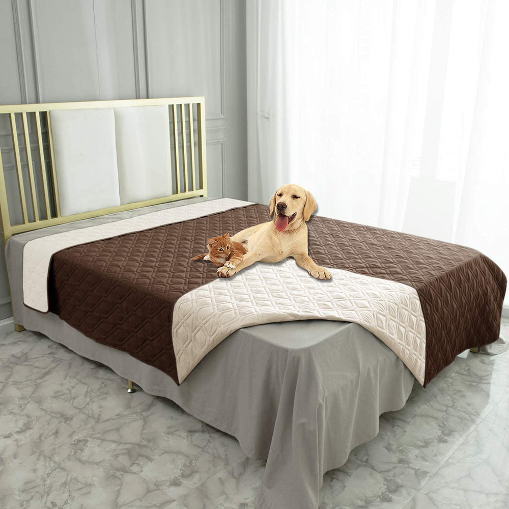 Ameritex waterproof dog bed cover on sofa protects furniture from spills.