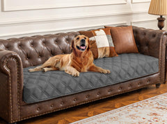 Ameritex waterproof dog bed cover overview: versatile protection against spills