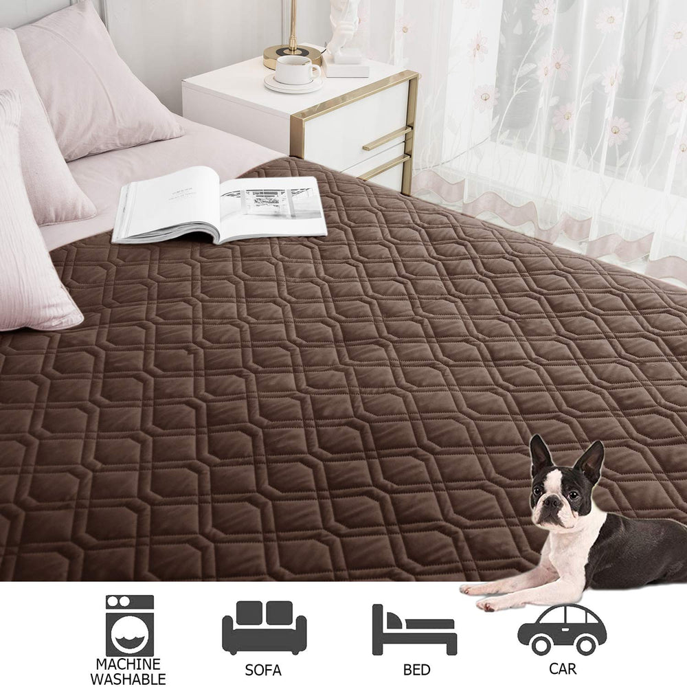 A dog relaxes on a couch with the Ameritex cover.