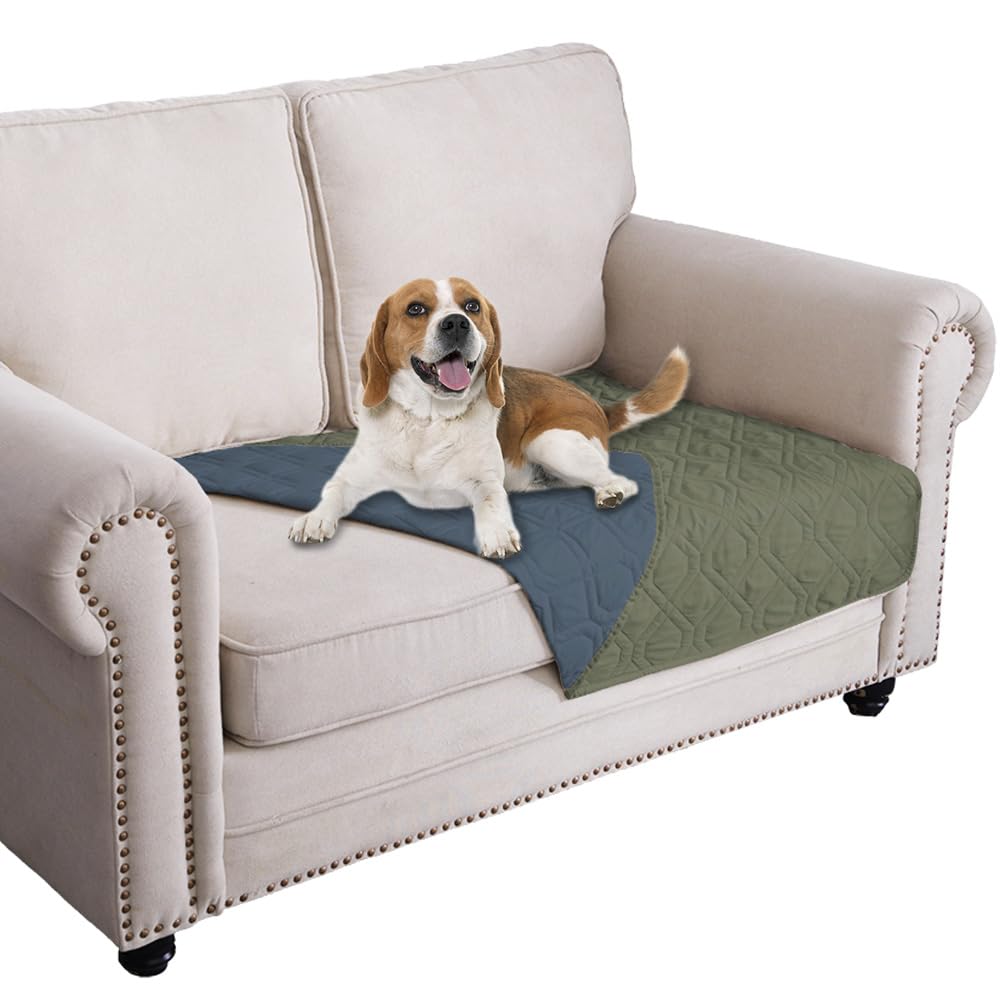 Ameritex waterproof dog bed cover on a sofa protects against spills.