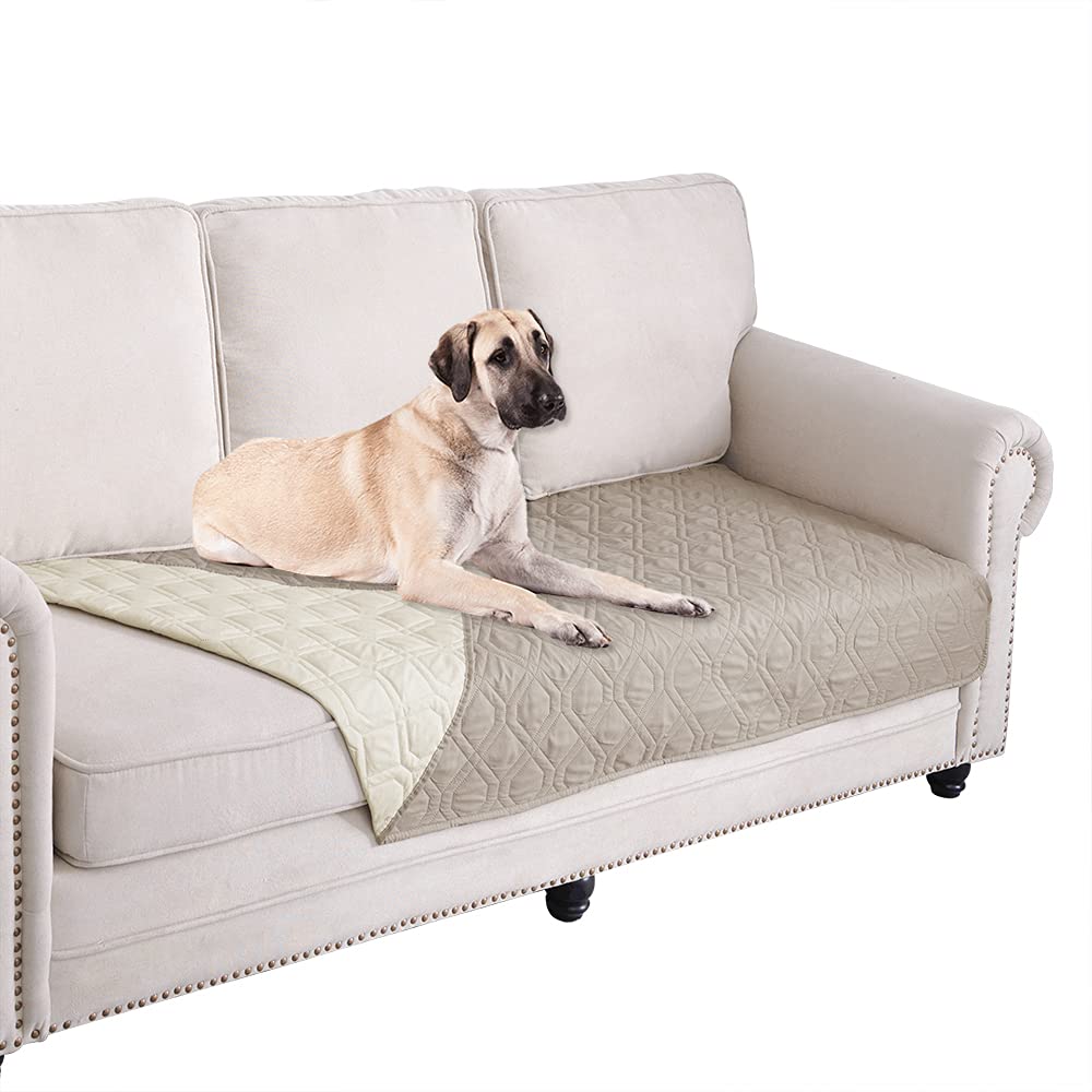 Ameritex waterproof dog bed cover on sofa protects furniture from spills.