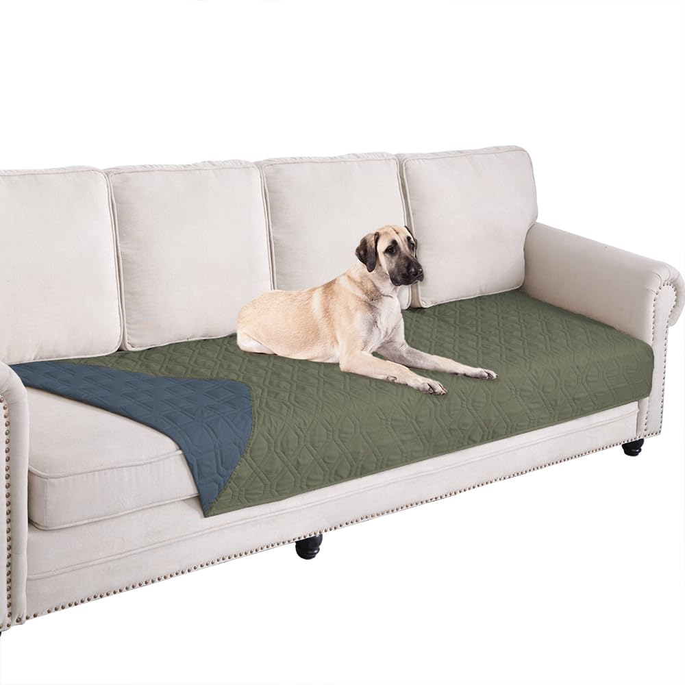 Ameritex waterproof dog bed cover on a sofa protects furniture from spills and accidents