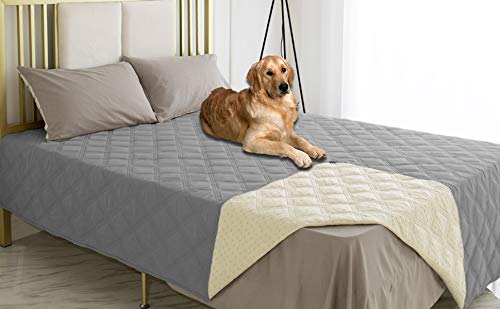 Ameritex waterproof dog bed cover on sofa protects furniture from spills.