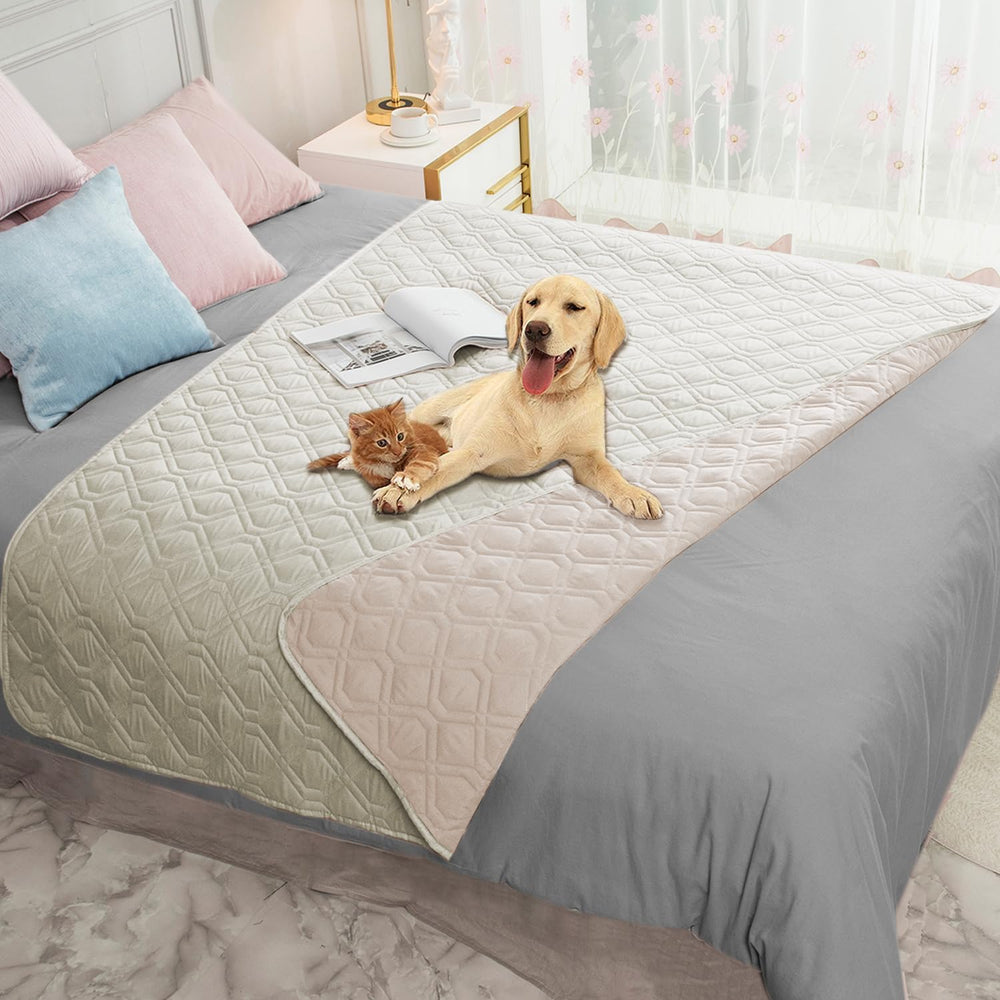 Ameritex waterproof dog bed cover on sofa protects furniture from spills and accidents.