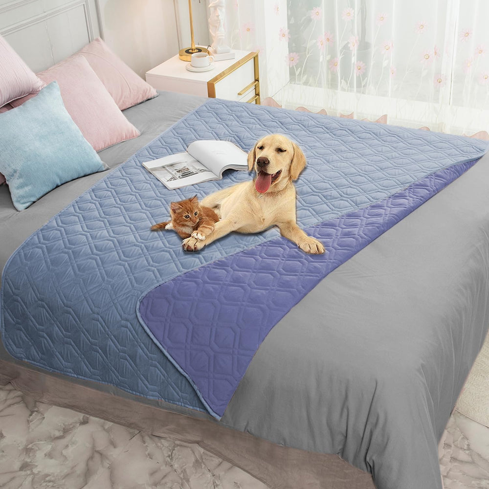 Ameritex waterproof dog bed cover on a sofa protects furniture from spills