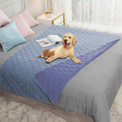 Ameritex waterproof dog bed cover on a sofa protects furniture from spills