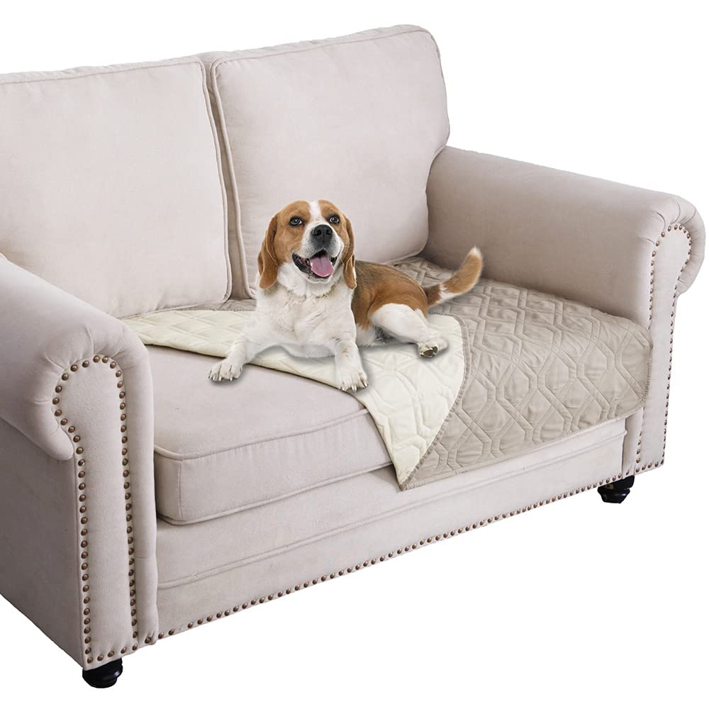 Ameritex waterproof dog bed cover on sofa protects against spills and messes