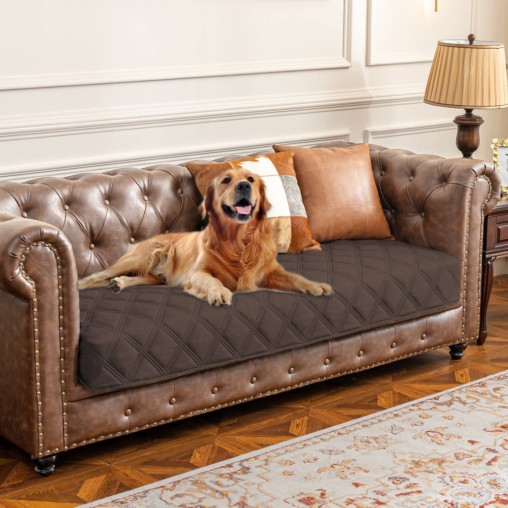 Ameritex waterproof dog bed cover protects furniture from spills and accidents.
