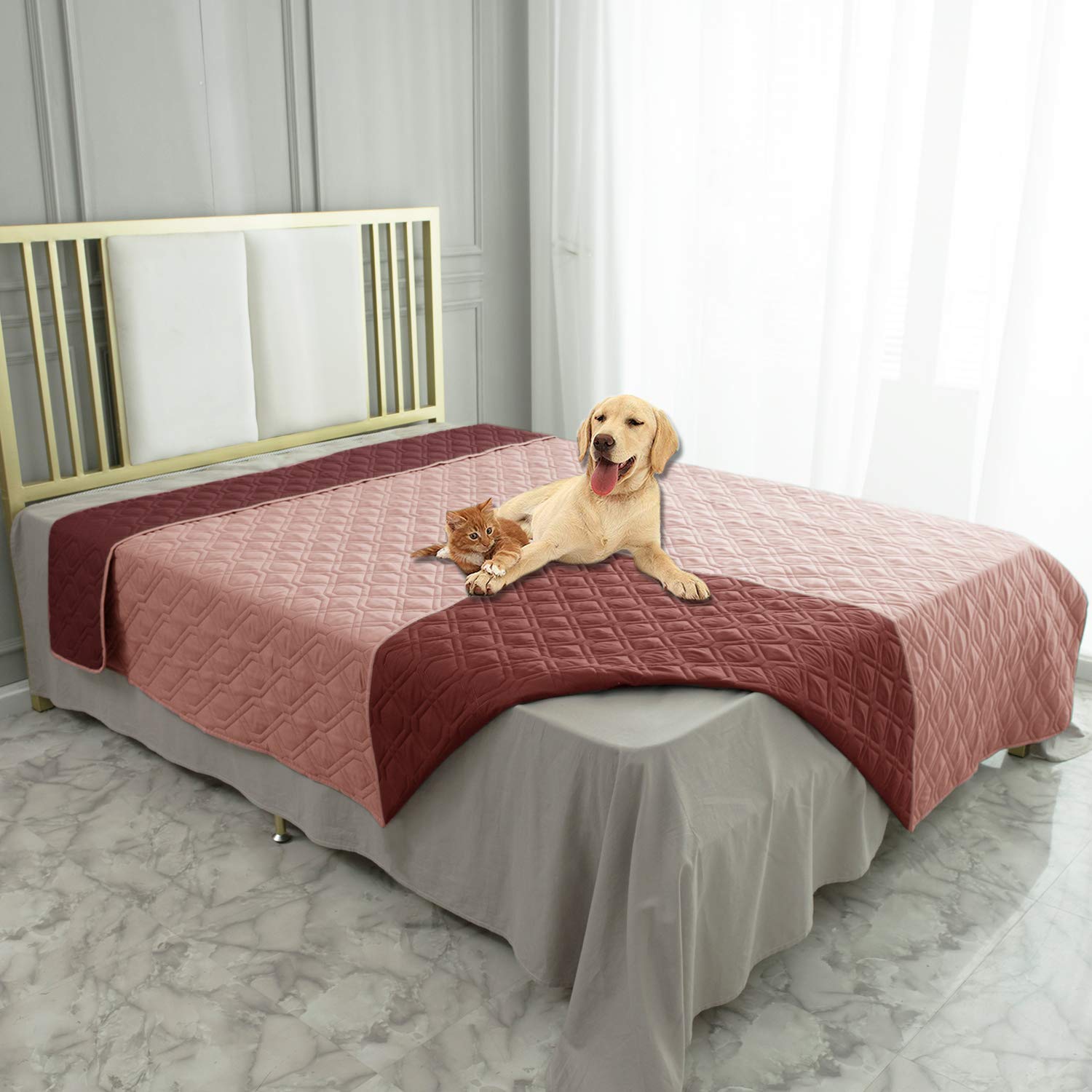 Ameritex waterproof dog bed cover protects furniture from spills and accidents.