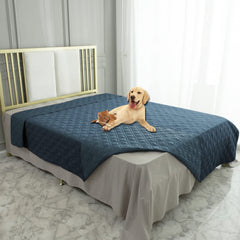 Ameritex waterproof dog bed cover protecting sofa from spills.