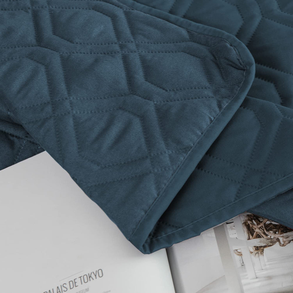 Ameritex waterproof pet blanket on sofa protects seating from accidents