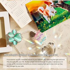 AMETHUARTZ Pet Memorial Suncatcher rainbow reflections brighten spaces and honor a beloved pet